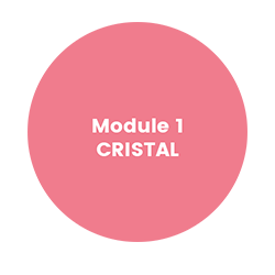 KRA Module 1 - Cristal
