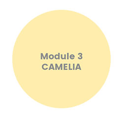 KRA Module 3 - Camélia