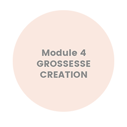 KRA Module 4 - Grossesse - Création