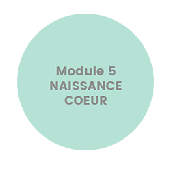 KRA Module 5 - Naissance - Coeur
