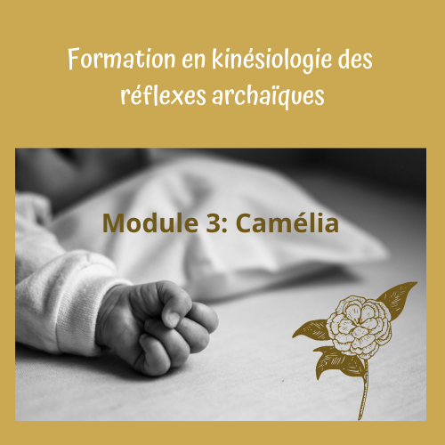 Kinésiologie des réflexes Module 3 : Camelia