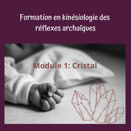 Kinésiologie des réflexes Module 1 : Cristal