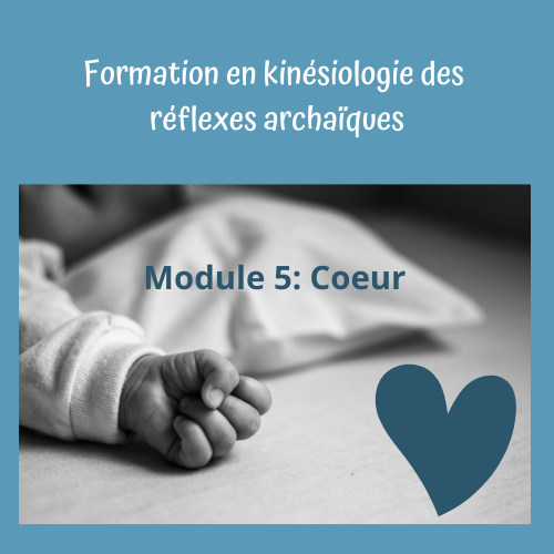 Kinésiologie des réflexes Module 5 : Coeur