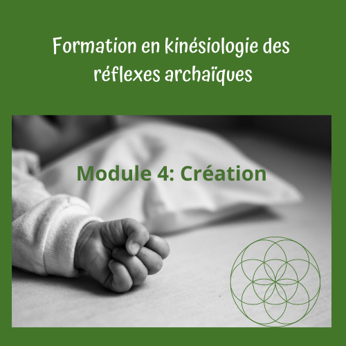 Kinésiologie des réflexes Module 4 : création